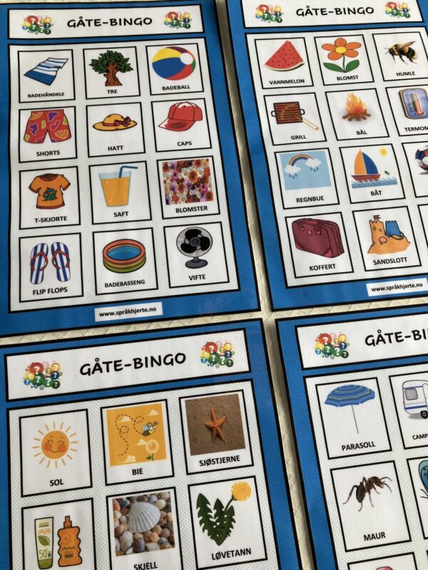 Gåte-bingo med sommerord - Bilde 8
