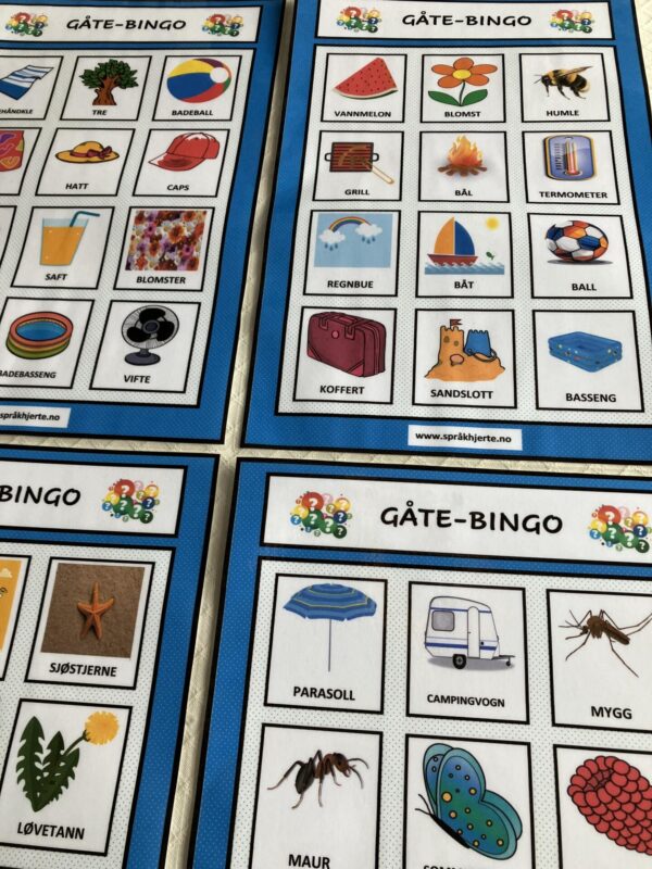 Gåte-bingo med sommerord - Bilde 9