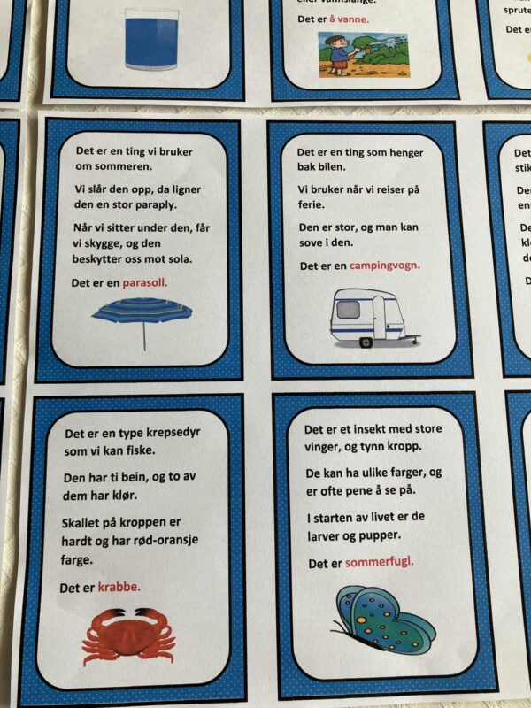 Gåte-bingo med sommerord - Bilde 10