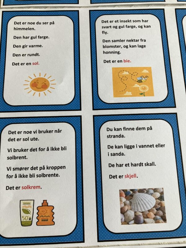 Gåte-bingo med sommerord - Bilde 11