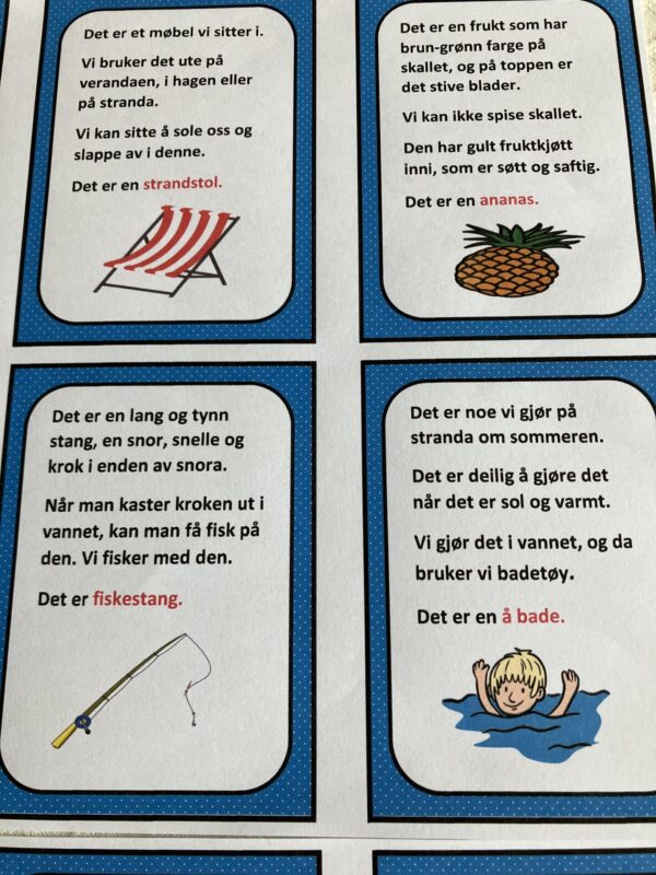 Gåte-bingo med sommerord - Bilde 15