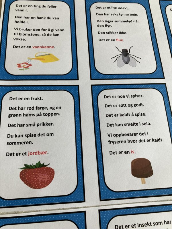 Gåte-bingo med sommerord - Bilde 16