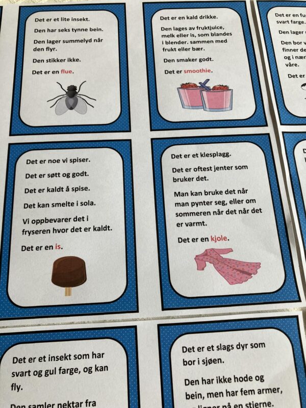 Gåte-bingo med sommerord - Bilde 17