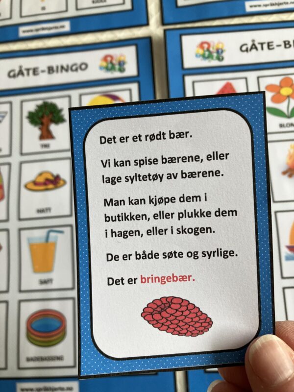 Gåte-bingo med sommerord - Bilde 22