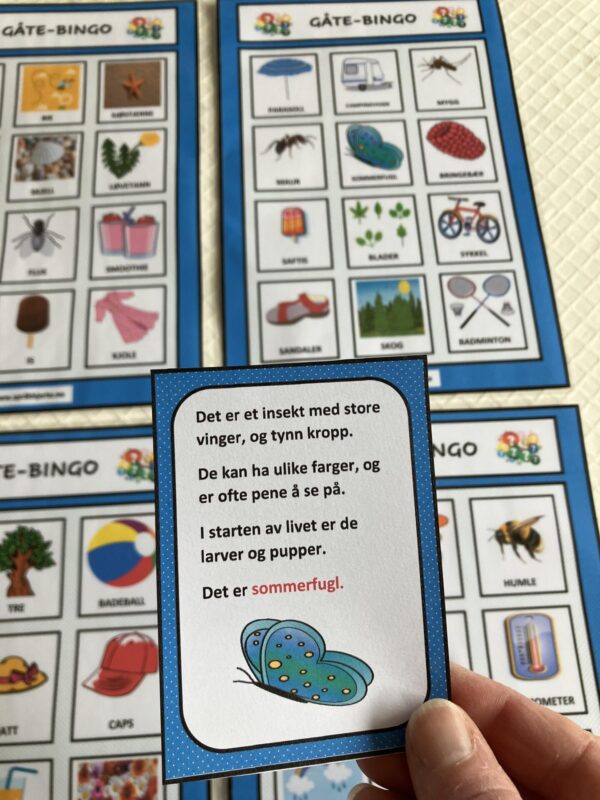 Gåte-bingo med sommerord - Bilde 21