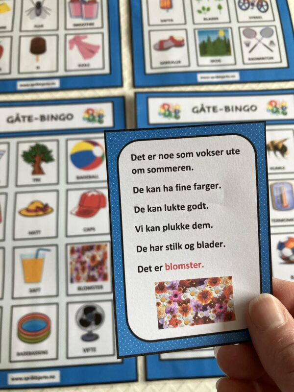 Gåte-bingo med sommerord - Bilde 24