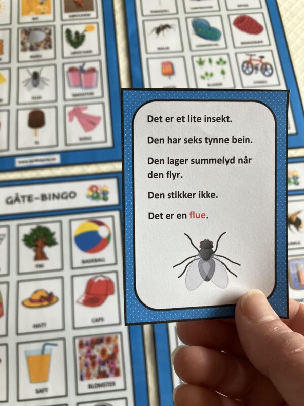 Gåte-bingo med sommerord - Bilde 26
