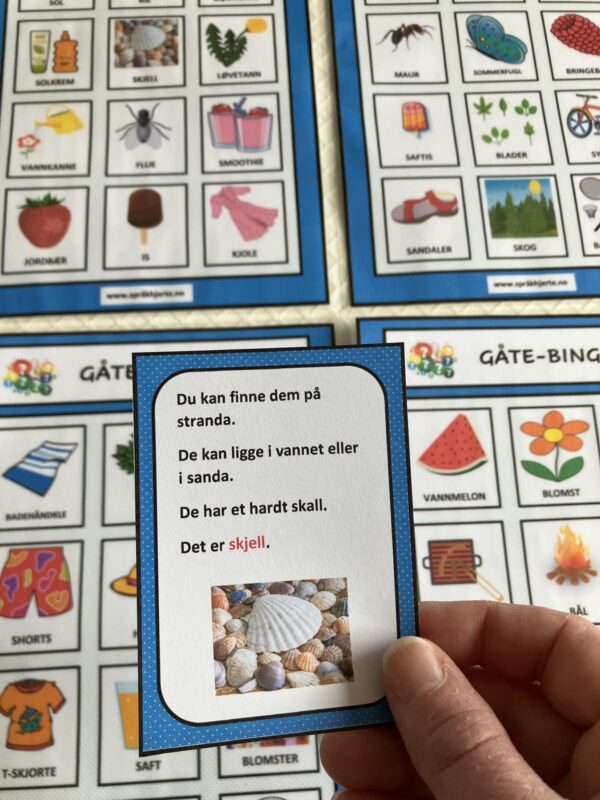 Gåte-bingo med sommerord - Bilde 27